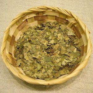 betulla foglie taglio tisana vendita a peso
