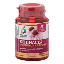 Echinacea Colours of Life Optima naturals