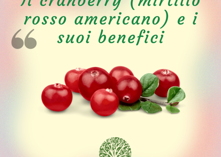cranberry proprietà e benefici erboristeria albero della vita