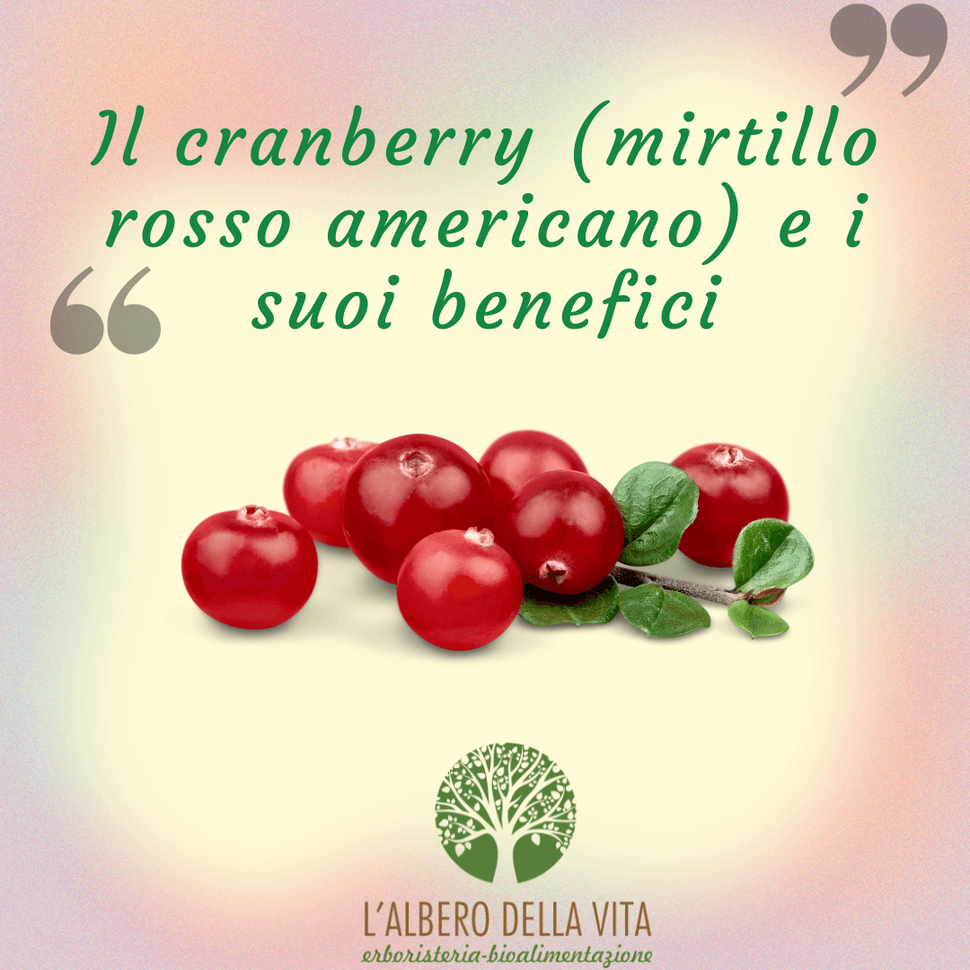 cranberry proprietà e benefici erboristeria albero della vita